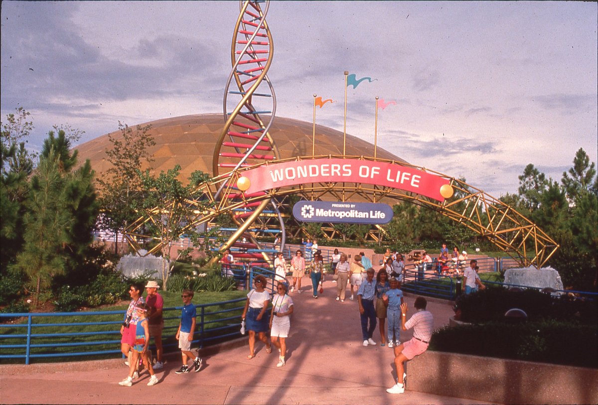 Wonders of Life EPCOT (Jenkins McCann)