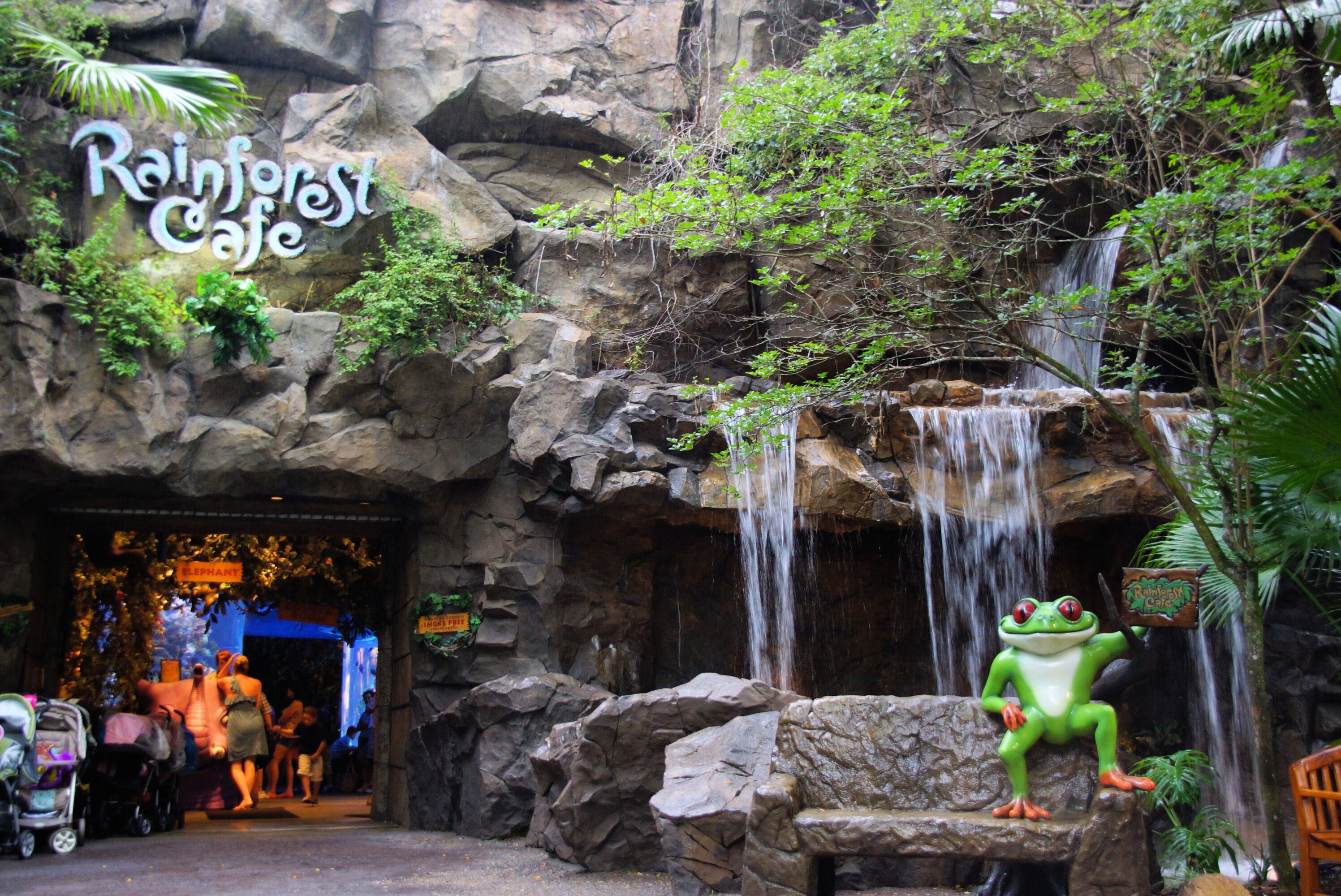 Rainforest Cafe Animal Kingdom (PCL)