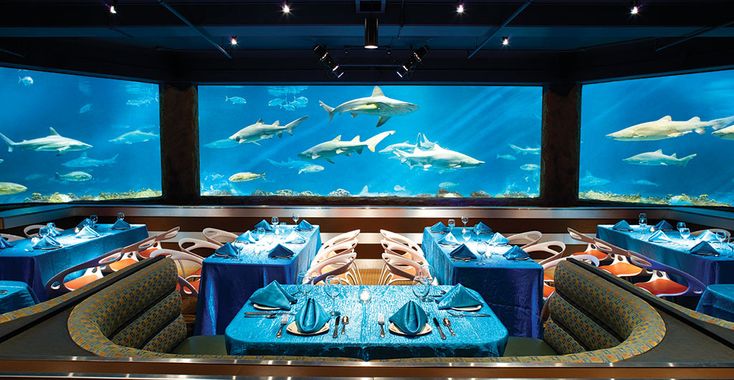 Sharks Underwater Grill (Williams Company)