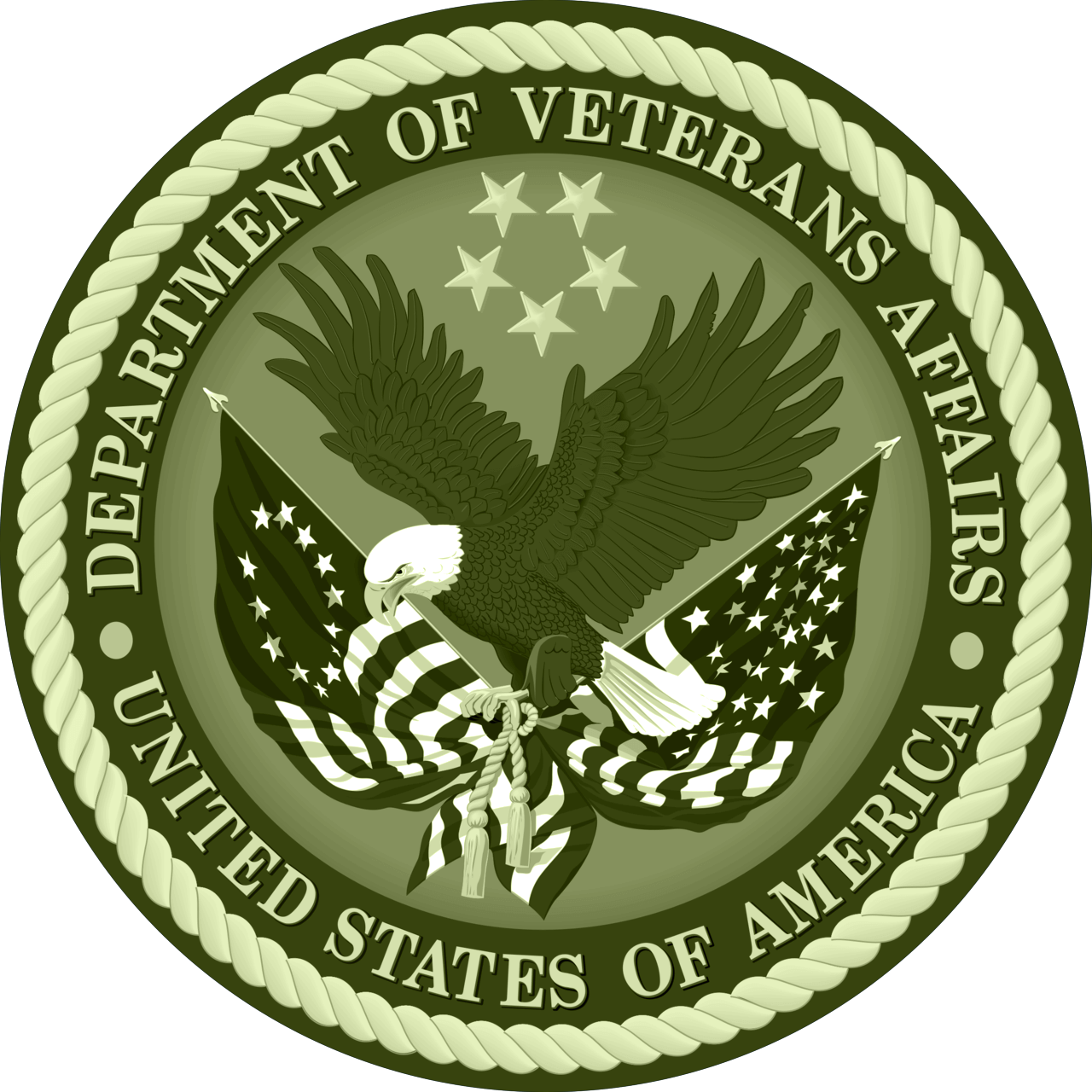 Department of Veteran Affairs